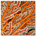 Orange Gorgonia